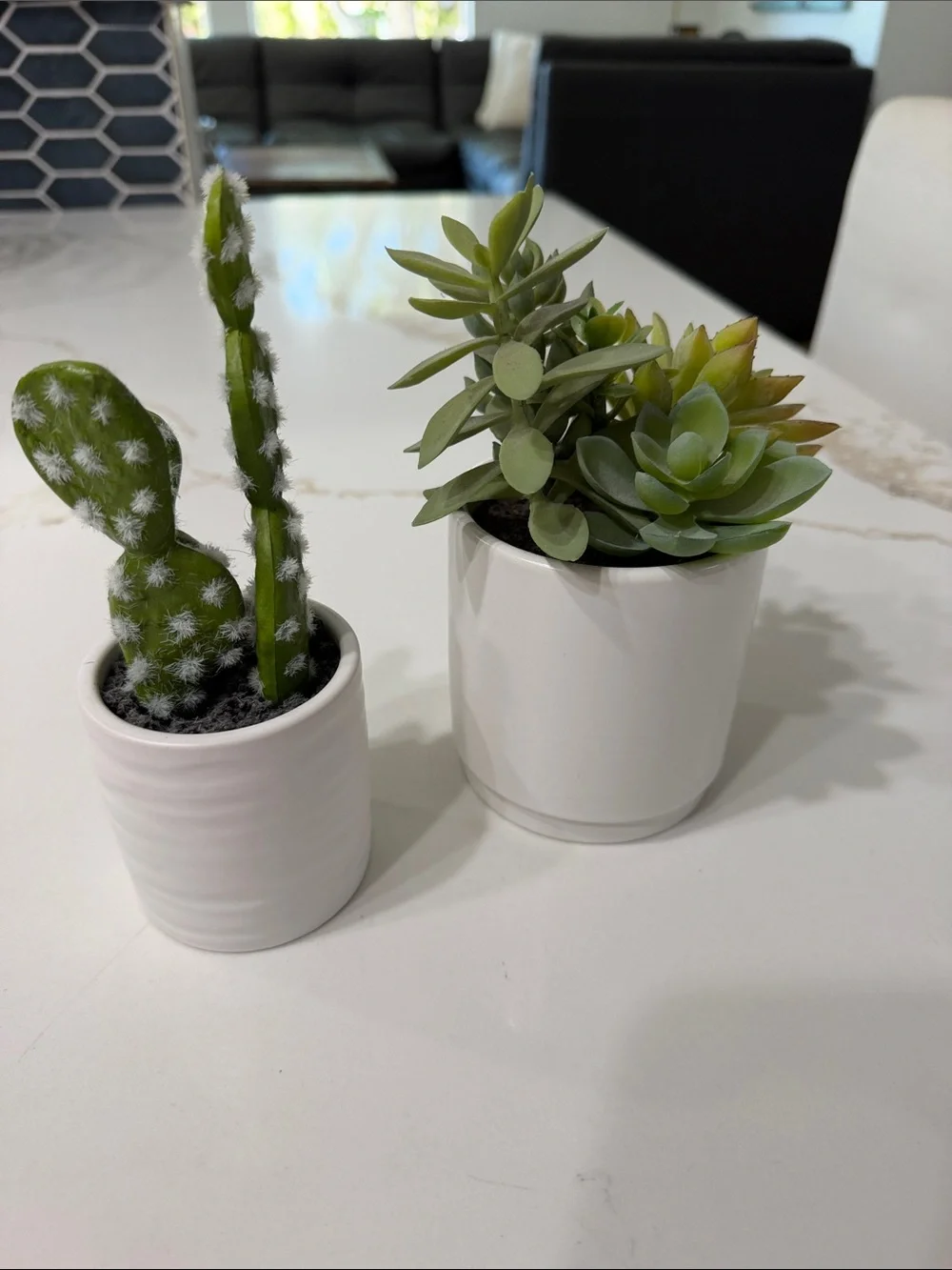White Ceramic Succulent Planter Duo - Green Faux Succulents & Catcus